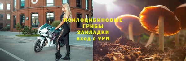 кокс Арсеньев