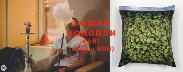 кокс Арсеньев