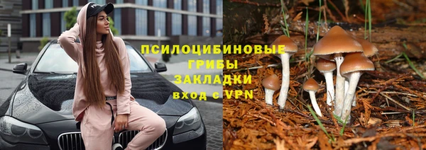 МДПВ Аркадак