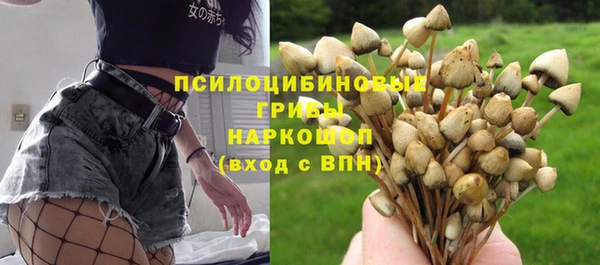 спиды Алзамай