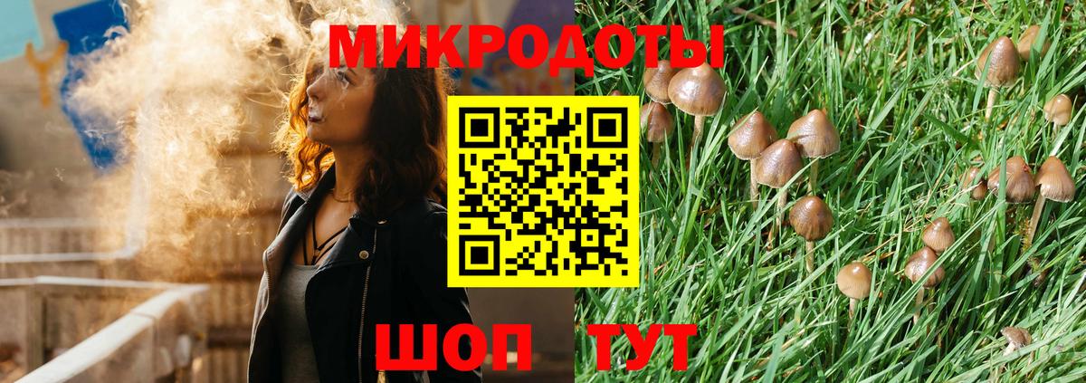 хочу   Псилоцибиновые грибы мицелий  Вход с VPN  Галлюциногенные грибы MAGIC MUSHROOMS  Глазов 