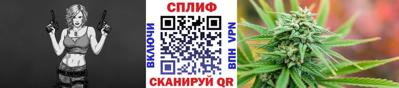 где продают наркотики  Глазов  Канабис OG Kush 